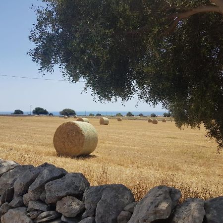 Homidoo Ulivo Διαμέρισμα Santa Croce Camerina Εξωτερικό φωτογραφία