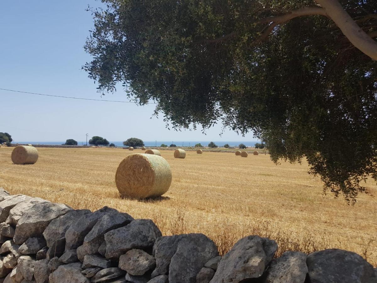 Homidoo Ulivo Διαμέρισμα Santa Croce Camerina Εξωτερικό φωτογραφία